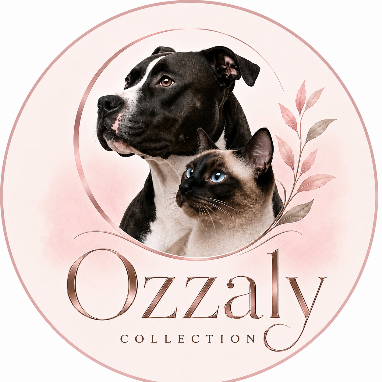 Ozzaly Collection