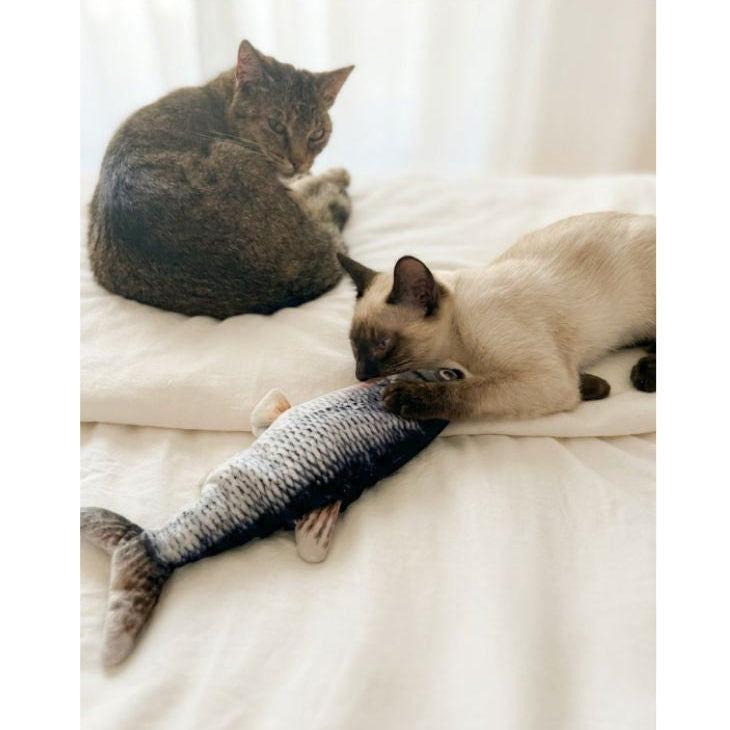 Electric cat toy fish