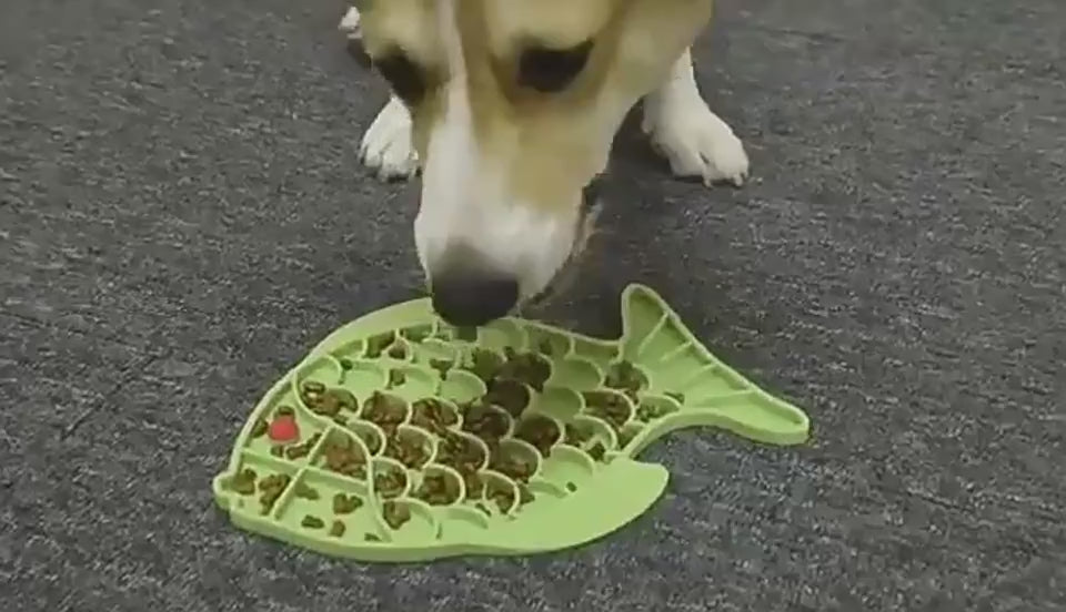 Fish Slow Feeder Mat